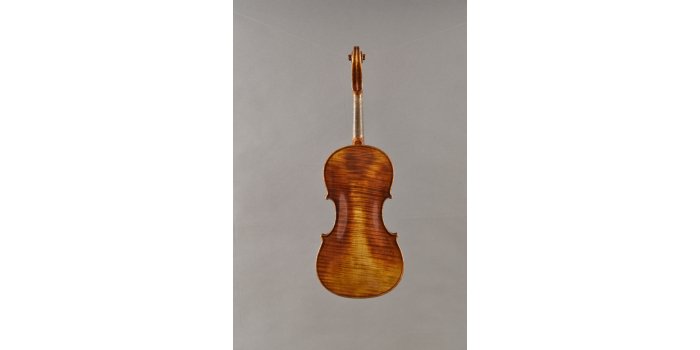 Violon