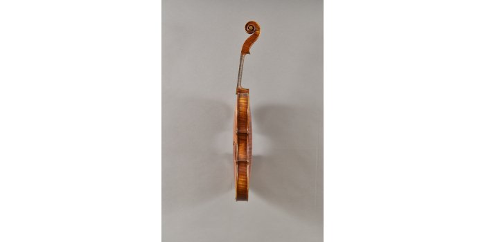 Violon