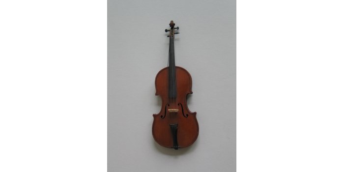 Violon miniature