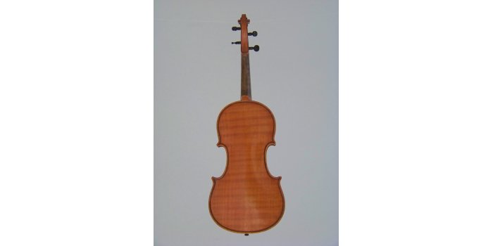 Violon miniature