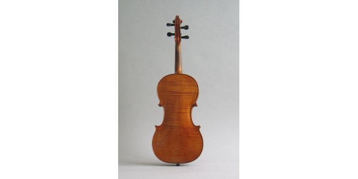 Violon