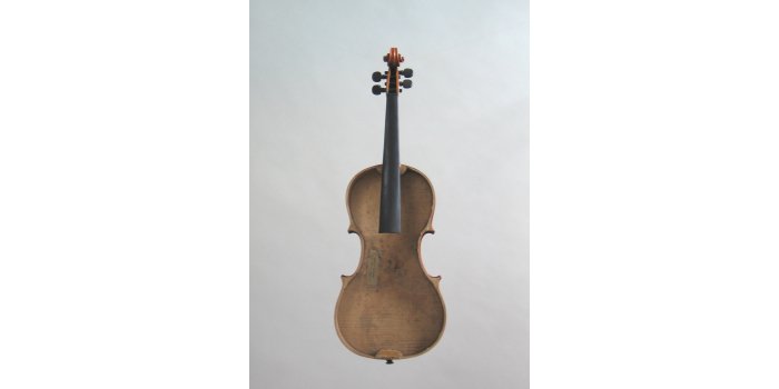 Violon