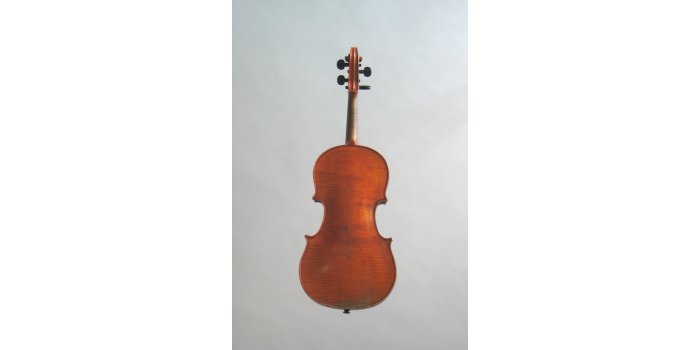 Violon