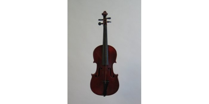 Violon