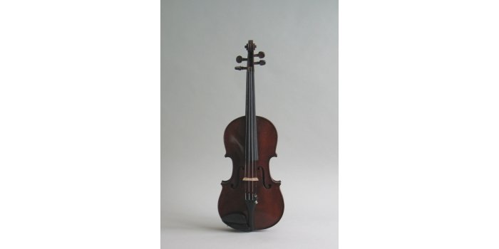 Violon