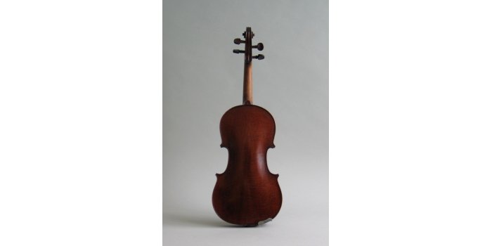 Violon