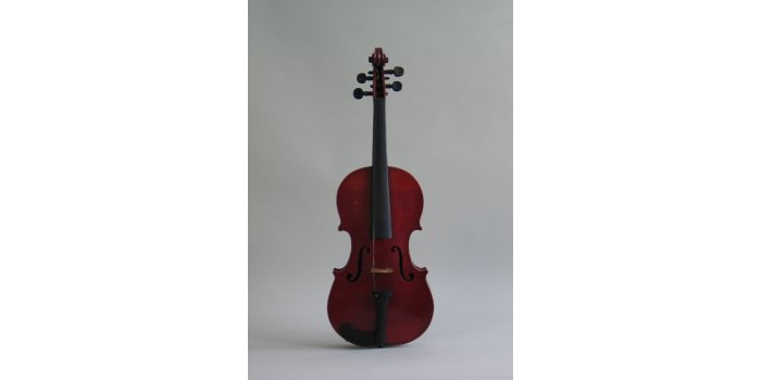 Violon