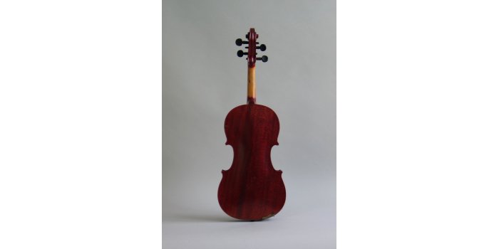 Violon