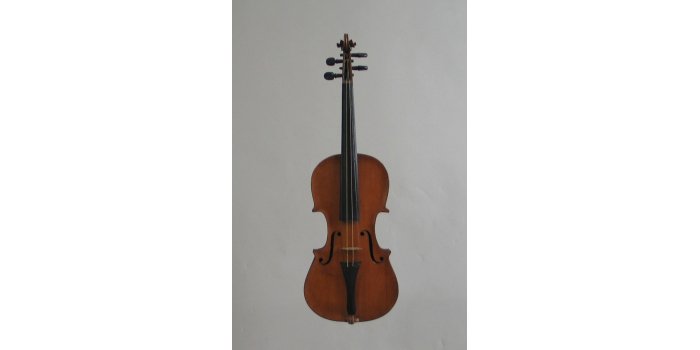 Violon