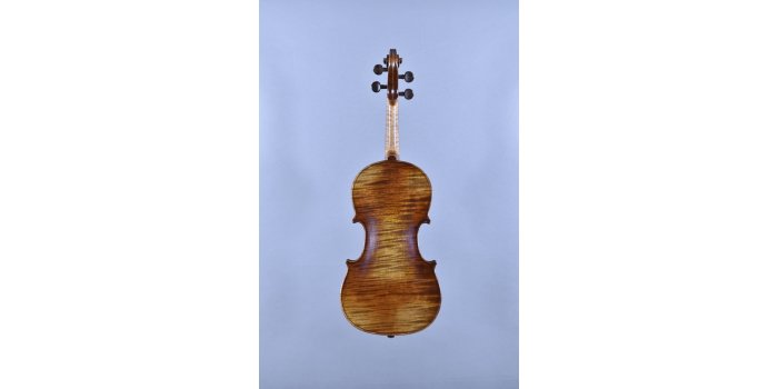 Violon