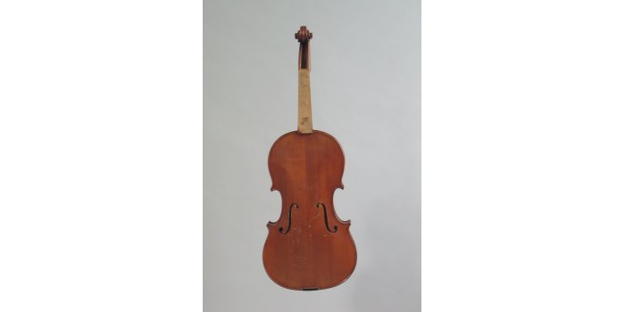 Violon