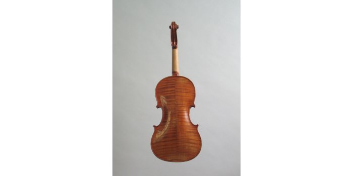 Violon