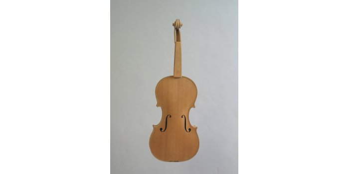 Violon