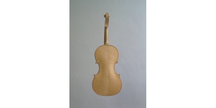 Violon