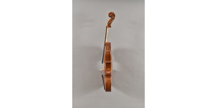 Violon