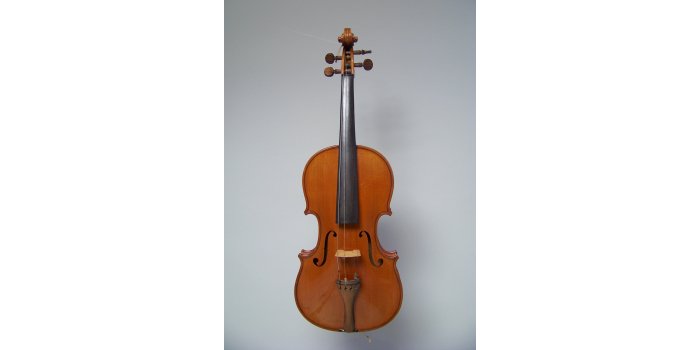 Violon