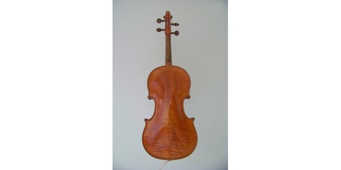 Violon