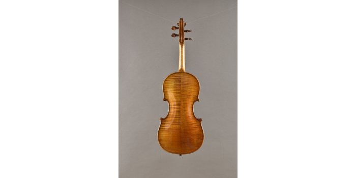 Violon