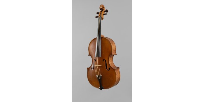 Violon basse