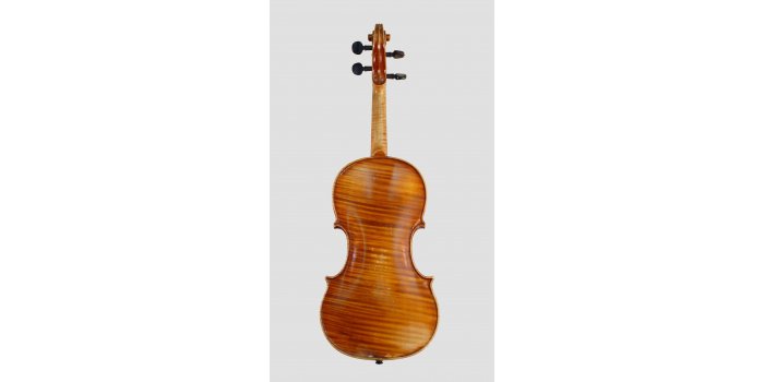 Violon