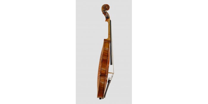 Violon
