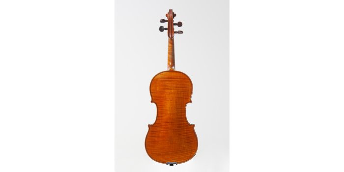 Violon