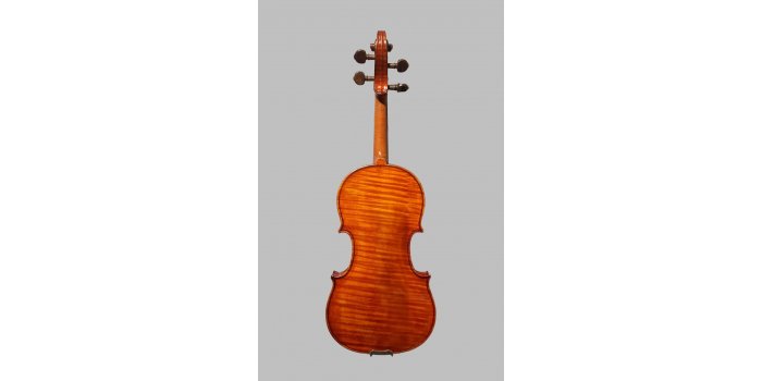 Violon