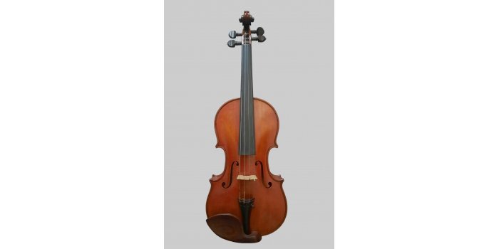 Violon